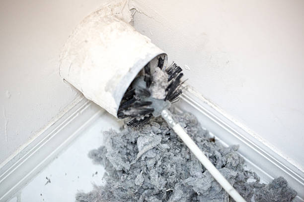 Best Dryer Vent Cleaning Services  in Pocahontas, IA